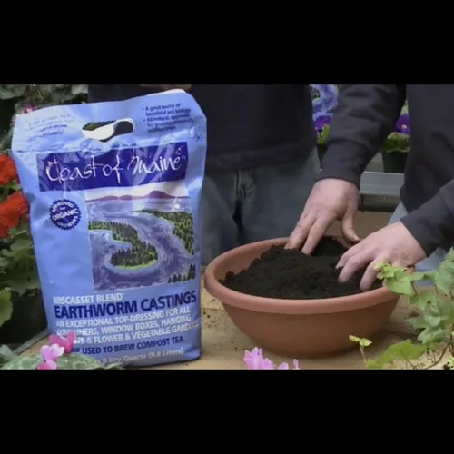 Miniatura 2 de Coast of Maine Wiscasset Blend Earthworm Castings - Suelo para aderezo para contenedores, cestas y jardines de flores y verduras, 8 cuartos de galón