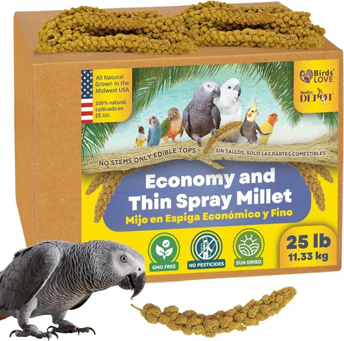 Miniatura 13 de Mijo en aerosol de 9 onzas para pájaros, sin OMG, sin tallos (solo tapas comestibles), 100% natural secado al sol para cacatúas, agapornitos