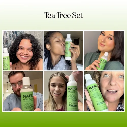 Miniatura 2 de Juego de champú y acondicionador de árbol de té, champú y acondicionador aclarante sin sulfato para el cuidado del cabello graso y el cuero