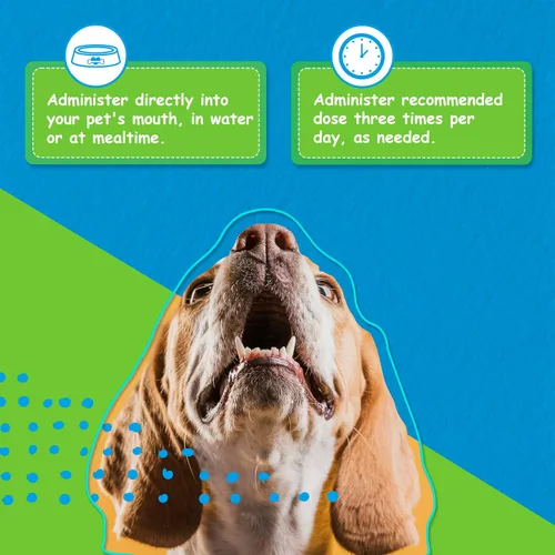 Miniatura 5 de Cuidado digestivo para perros, alivio natural del estreñimiento para perros y cachorros y apoyo para la diarrea, hinchazón, mal aliento, vómitos