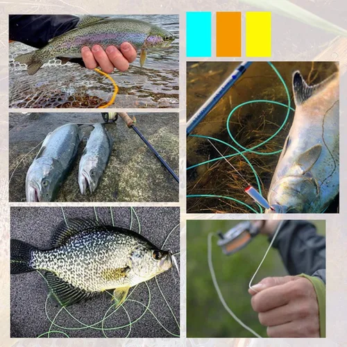 Miniatura 9 de Carrete de mosca (1/2WT 3/4WT 5/6WT 7/8WT) con línea Combo de aleación de aluminio Arbor grande Carretes de pesca con mosca Peso adelante Línea