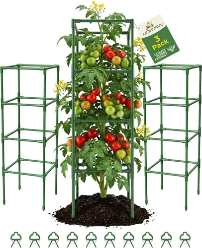 Miniatura 9 de Paquete de 3 jaulas de tomate, estacas cuadradas para plantas de tomate, jaulas de soporte para jardín, escalada, verduras, flores, frutas, extra