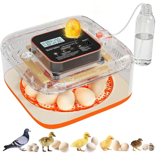 Miniatura 8 de Incubadoras para incubar huevos de 12 huevos, incubadora digital de huevos de precisión, control automático de humedad de temperatura de 6
