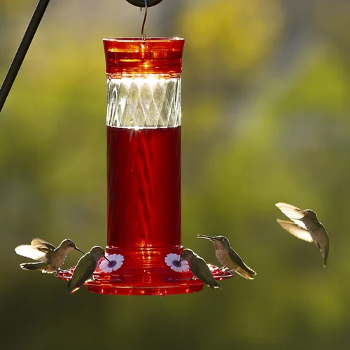 Miniatura 6 de More Birds - Comedero de colibrí con diseño de rubí, Diamond, paquete de de 1, Negro y marrón