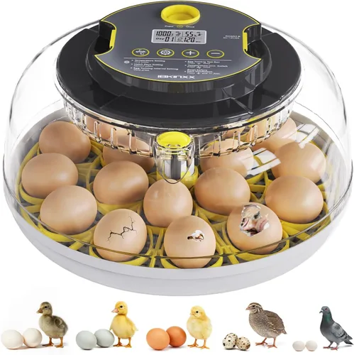 IBKINXX Incubadora para incubar huevos: capacidad de 18 huevos, girador automático de huevos, control de temperatura y humedad, visualización de