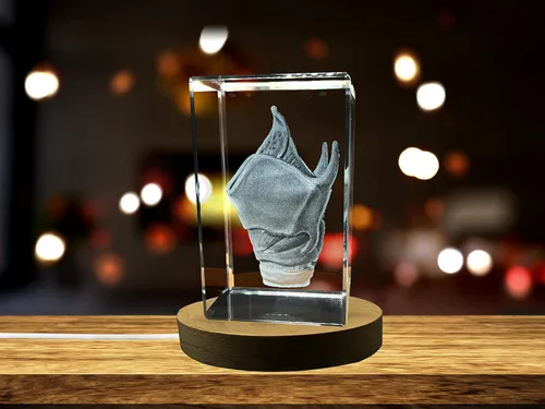 Miniatura 11 de Regalo para médicos 3D grabado en cristal recuerdo/regalo/decoración/(pequeño (3 x 2 x 2 pulgadas), arterias)