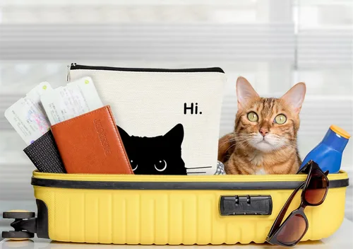 Miniatura 5 de Regalos de Gatos - Pequeña bolsa de maquillaje, bolsa de cosméticos para amantes de los gatos, bolsa de maquillaje para adolescentes y mujeres, cat 1