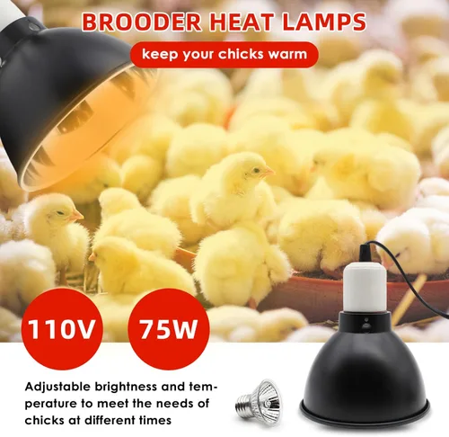 Miniatura 4 de Kit de comedero y bebedero para pollitos GIFANK con lámpara de calor de 75W, percha para pollitos, comedero para aves de corral con tapa abatible