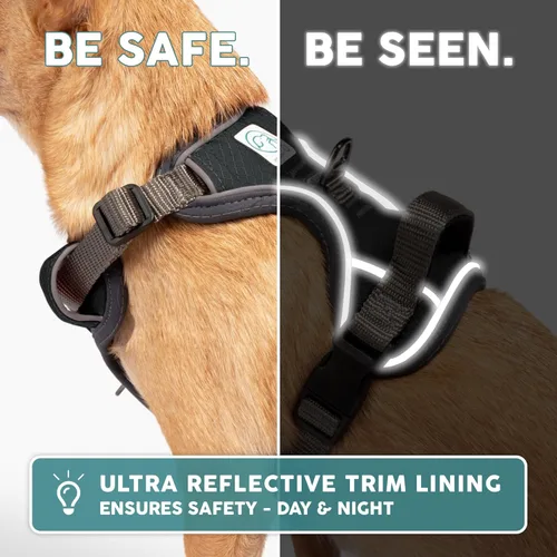Miniatura 8 de Embark Active arnés de perro, fácil de encendido y apagado con parte delantera y trasera correa accesorios & mango de control – no tirar de Negro