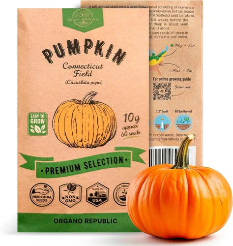 Miniatura 19 de Organo Republic Paquete de Semillas de Lechuga Hoja de Roble 1 G - Más de 800 Semillas de Lechuga Reliquia Sin OMG para Plantar Verduras en Paquete