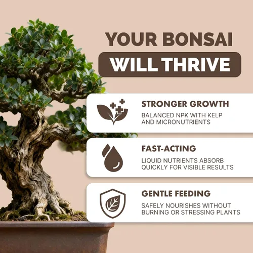 Miniatura 2 de Fertilizante para Bonsái, alimento líquido para plantas para un crecimiento saludable y raíces fuertes en todos los árboles de bonsái, de TPS Plant