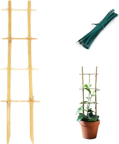 Miniatura 8 de Cambaverd Enrejado de plantas de interior para plantas trepadoras de 16 pulgadas, paquete de 6 enrejados de bambú para plantas en maceta