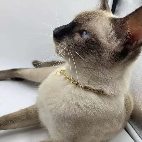 Miniatura 7 de HOWWFALY Collar para Perro y Cadena Collar para Gato de Acero Inoxidable Ajustable Collar en Forma de Corazón de Oro 18K para Mascotas Pequeñas
