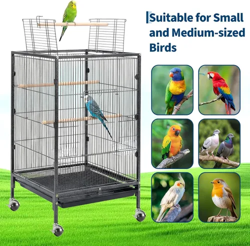 Miniatura 5 de Garvee Jaula para pájaros con parte superior abierta, jaula de metal resistente para pájaros con soporte rodante para periquitos, canarios