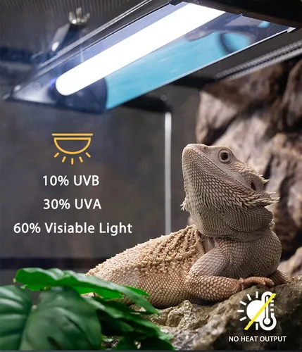 Miniatura 3 de T5 UVB - Kit combinado de lámpara para reptiles – Campana de terrario de 12 pulgadas, 8 W, bombilla UVA UVB 10.0 con reflector de alta eficiencia