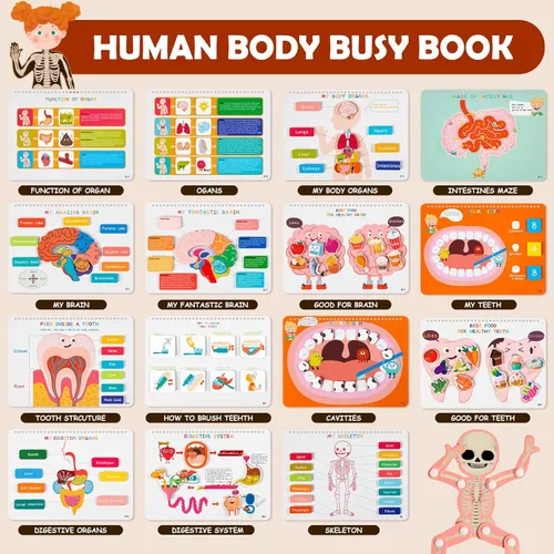 Miniatura 2 de Freebear Libro Ocupado Montessori para Niños, Libro de Anatomía del Cuerpo Humano para Niños Pequeños, Actividades de Aprendizaje Preescolar