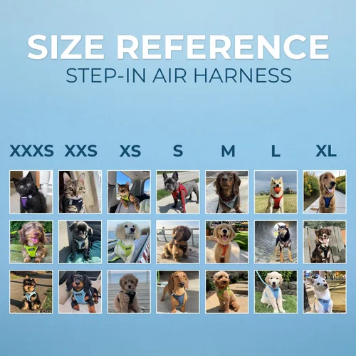 Miniatura 16 de Best Pet Supplies Voyager Step-in Air Arnés – Malla para todo clima, reflectante, arnés antitirones para perros y gatos, seguro con cierre de gancho