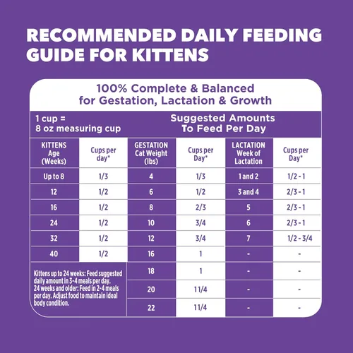 Miniatura 9 de IAMS Proactive Health Alimento Seco Saludable para Gatitos con Pollo, Bolsa de 16 lb