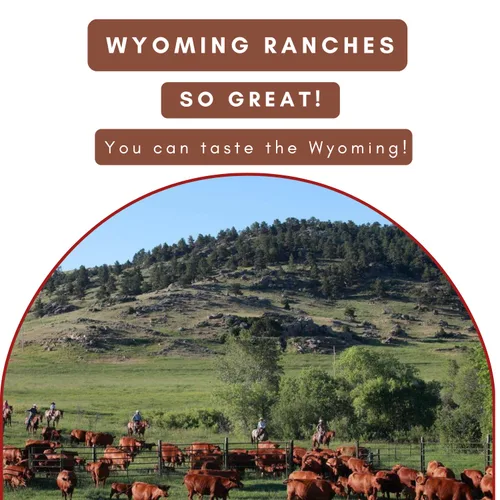 Miniatura 5 de Wyoming Palitos de carne 100% alimentados con pasto – 4 veces cada sabor – Humo de nogal vaquero, jengibre salvaje y jalapeño original – Snacks