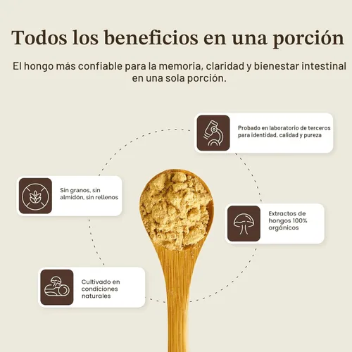 Miniatura 9 de Lions Mane polvo de extracto de hongos Real Mushrooms. Certificado orgánico 2.11 oz a granel. Hongo melena de león en polvo, perfecto