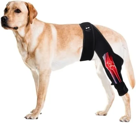 Rodillera trasera ajustable y segura para perros - Rodillera trasera para perros - Envoltura de fácil ajuste para estabilidad de articulaciones,