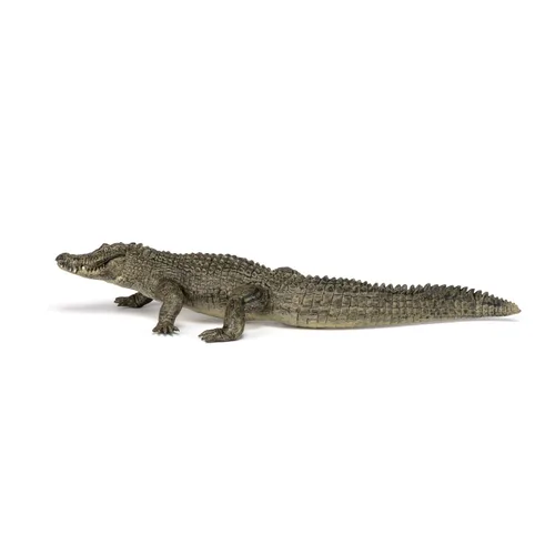 Miniatura 7 de Papo - Figura realista de cocodrilo - A partir de 3 años - Colección Wild Life - Reptiles educativos de pantano - Juguete de idea de regalo