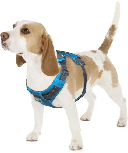 Miniatura 14 de Outward Hound Boulder Adventure - Arnés ajustable para perro con bolsillos, turquesa, mediano