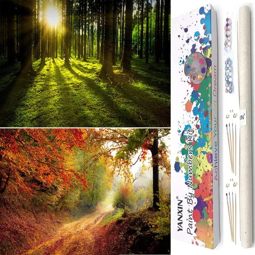 YANXIN Kit de pintura por números para adultos principiantes, paquete de 2 pinturas por números para adultos, lienzo enrollado para decoración del