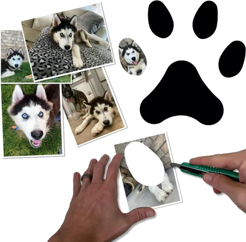 Miniatura 3 de BARNWOODUSA - Marco de collage de huellas de perro o gato, marco de fotos de 5 aperturas para mascotas, conmemoración del viaje de la mascota, gris