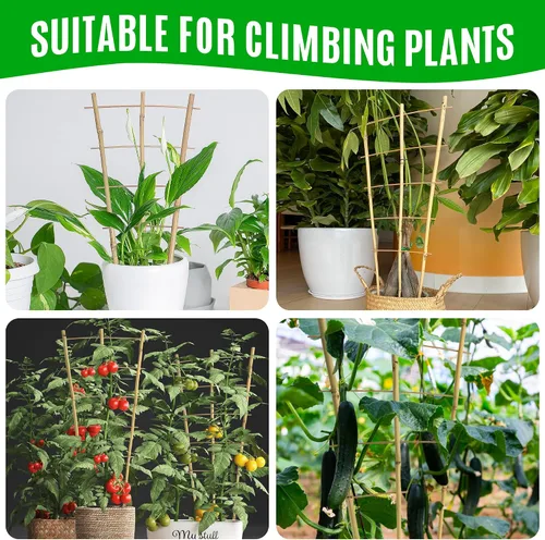 Miniatura 4 de SWANGSA Paquete de 6 enrejados de bambú de 24 pulgadas para plantas trepadoras, enrejado de bambú en forma de abanico, pepino, tomate, enrejado