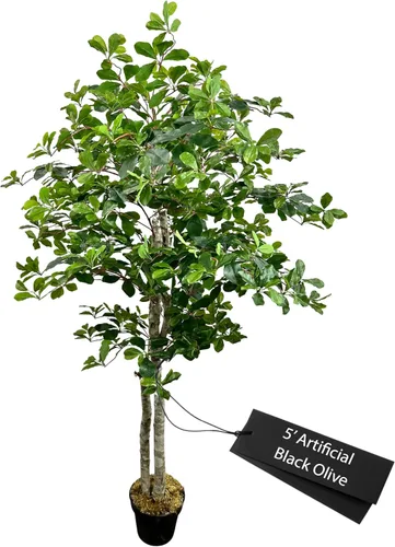 Miniatura 12 de Cypress & Alabaster Árbol artificial de hoja de olivo negro italiano hecho a mano de 4 pies con troncos de madera real de origen ético