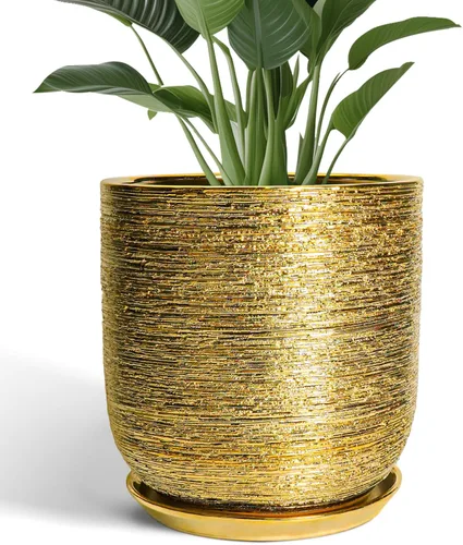 Miniatura 26 de Maceta de Cerámica para Plantas de Interior de 5 Pulgadas - Maceta Redonda para Plantas Suculentas con Agujero de Drenaje y Platillo, Decoración