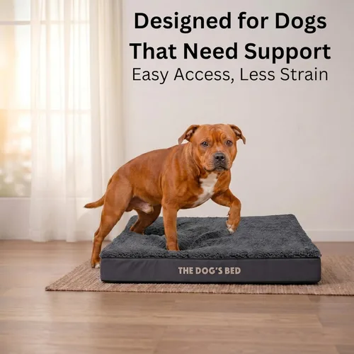 Miniatura 4 de The Dog's Bed - Cama ortopédica para perro, felpa gris grande, impermeable, cama de apoyo con fundas lavables reemplazables, aprobada por Peluche