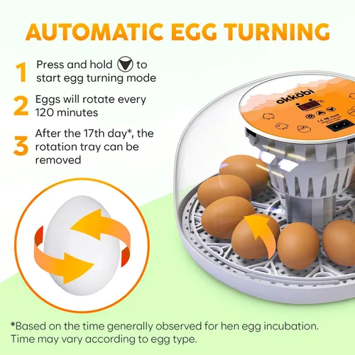 Miniatura 5 de Okkobi M12 - Incubadora de huevos con girador automático y control de humedad, 12/24 huevos, vista de 360°, fácil de usar y limpiar, Incubadora