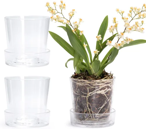 Phoenix Vine Maceta de acrílico transparente de 3.5 pulgadas con bandeja, maceta de orquídeas con agujeros de drenaje, platillo profundo para riego