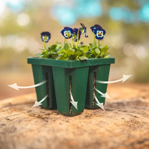 Miniatura 4 de Vego garden Seedling Suite Products, paquete de 8 bandejas de plántulas jumbo con tapas de bandeja de plántulas y bandejas de riego inferiores de 10