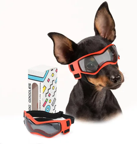 Gafas de sol para perros de razas pequeñas, lentes de sol para perros con protección UV, para cachorros para mascotas pequeñas al aire libre, Naranja