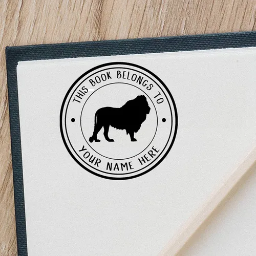Miniatura 4 de Sello de nombre de libro de biblioteca personalizado, pertenece a un nombre personalizado para maestro de biblioteca o nombre personalizado de The