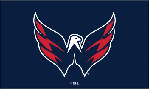 Miniatura 14 de Team Sports America Tapete con licencia oficial de la NHL 28 x 16 pulgadas (Anaheim Ducks)