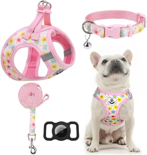 Miniatura 9 de EXPAWLORER Arnés Clásico de Plátanos para Cachorros - Juego de Arnés y Correa para Perros Pequeños - Juego de Collar y Correa para Perros con Azul