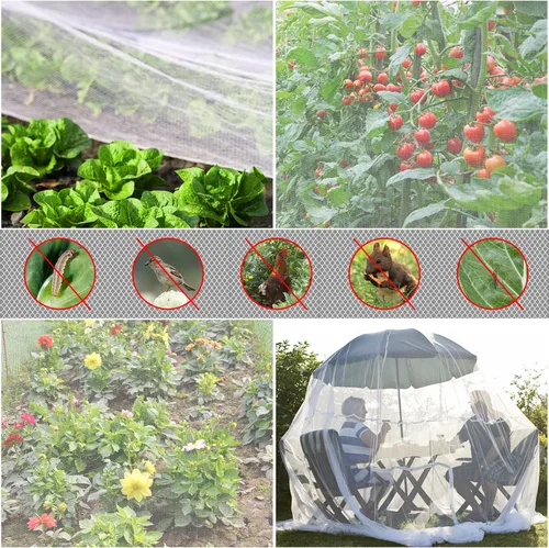 Miniatura 2 de Red para jardín, 2 paquetes de 3,1x10,1 m de malla ultrafina, barrera de plagas, protección contra pájaros y mosquitos, red para plantas, cubierta