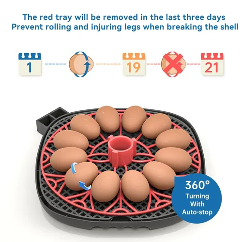 Miniatura 4 de Incubadora de huevos 12-24 con pantalla de humedad, vela de huevos, girador automático de huevos, para incubar pollos, pato, codorniz, loro Rojo