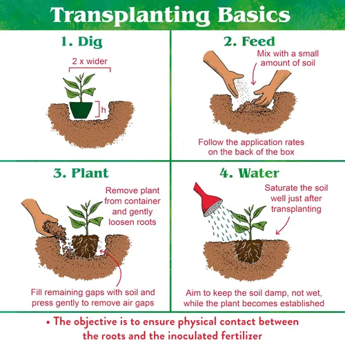Miniatura 5 de Down To Earth All Natural Fertilizers Organic Bio-Live Starter & Transplant Mix con hongos micorrícicos y microbios benéficos para alimentos