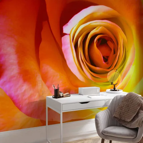 Miniatura 6 de artgeist Mural de pared Rosa de 157 x 122 pulgadas - Papel tapiz no tejido XXL, decoración de pared de forro polar, impresión fotográfica, diseño