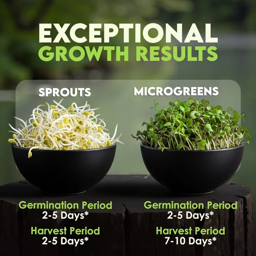 Miniatura 5 de Nature Jims Sprouts Mezcla de ensalada orgánica - Semillas microverdes sin OMG para el cultivo - Mezcla saludable de brotes de brócoli, alfalfa
