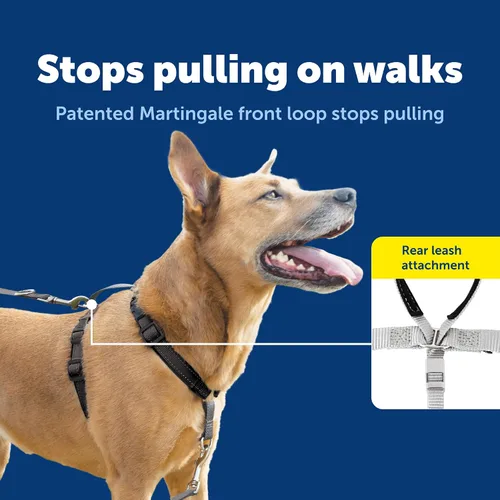 Miniatura 3 de PetSafe Arnés 3 en 1 con correa de control de dos puntos, arnés sin tirones, pequeño, negro, ajustable