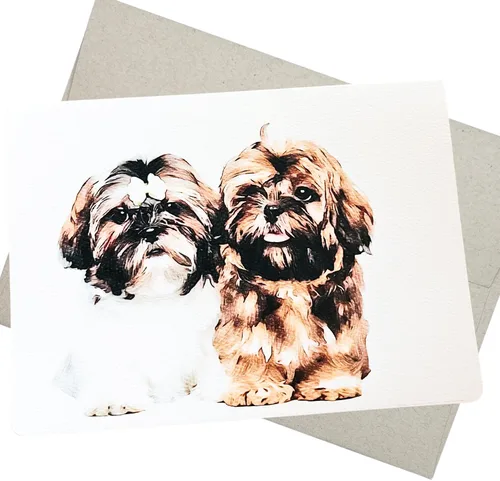 Shih Tzu - Tarjeta de felicitación (5 x 7 pulgadas, 1 tarjeta, interior en blanco) para tarjeta de cumpleaños Shih Tzu, condolencias de mascotas