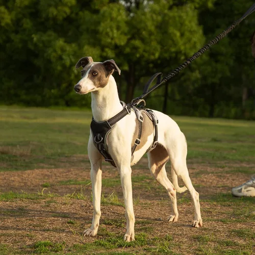 Miniatura 6 de Huntboo Arnés para perro a prueba de escapes, arnés reflectante con mango acolchado, transpirable, duradero, chaleco ajustable para perros medianos