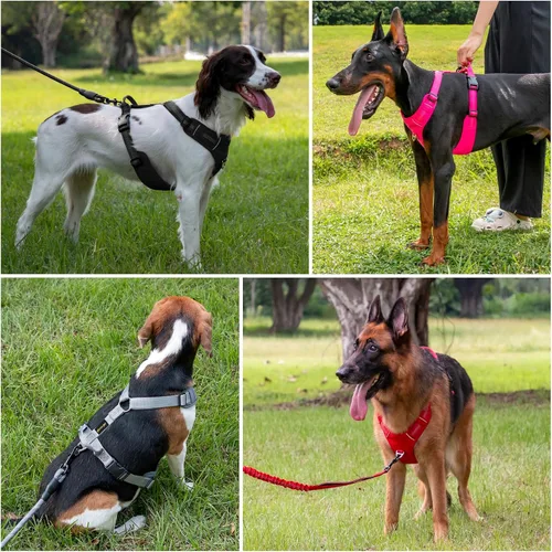 Miniatura 6 de Plutus Pet Arnés sin tirones para perro, arnés reflectante ajustable con asa, a prueba de escapes, acolchado suave para perros pequeños, medianos