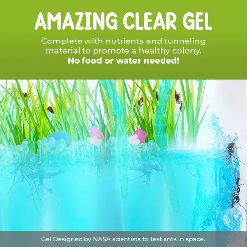 Miniatura 6 de Hábitat de hormigas de gel con iluminación LED con 25 hormigas vivas, juego de eco-terrario, incluye gel nutritivo, semillas, palmeras, rocas y más